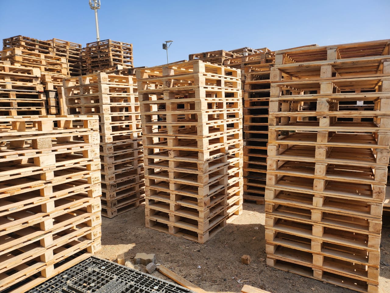 Wooden Pallet Sales